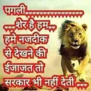 Neeta_raj Great@ Pic