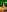 Kanela_miller_ San patricio Pic 3