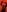 Fuc71 Red Rubber Pic 4