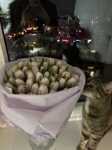 Leri_Star give women flowers 🌹 Gambar 7