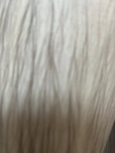 Public de danyele69  4 Imagens