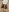 ratschi81 Dick hairy Foto  2