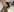 Kor_Cat 코스프레🥰cosplay Photo 4