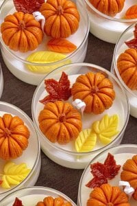 TayaFinch Public slika 3