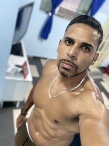 Gato20026 Public Hình 2