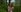 ModelBaby solitude with nature Fotografie 8
