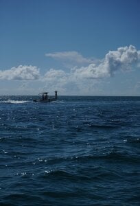 My Vacation 🏝️🥥 de AshtonnSummer  7 photos