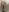 TaylorEvanssFuck my sweet pussy🫠🌸照片