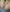 Cum in pussy and on tits de Winx20  fotos