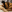 Hotpinay43 Hotpinay43 cum on ass light Pic