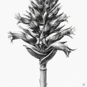 Jujutopia Drawings/Studies Pic 4