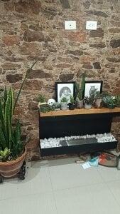 anaroman01 A house full of life and love ❤️ 圖片 4