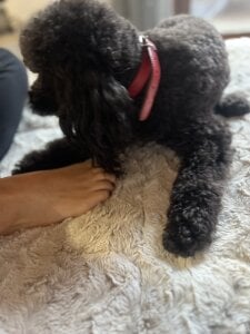 tittyfetish Public Pic 4