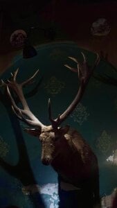 KarenClarks Day off !!!🤩 Pic