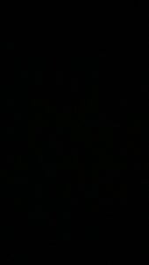 La-Gatiita-trans 😻Gatita💕 Foto 4