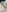 Lalalust69 Pussy pics 💕 Pic 2