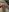 SexyLayla1 CumShots Pic 6