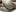 EmmaEbony_ts Suck my big dick Photo 3