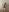 FayeFlame My Body, Your Fantasy Pic 5