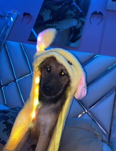 bonny_princess My cute puppy💞🐶 Εικόνα