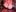 alicce_moon_ 🔥 BDSM 🔥 Pic 6