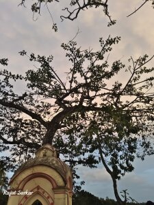 raj677181 Public Pic 2