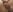 pigboybi My Cock Photo 3