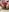 Javier_bear Hot Christmas 2024 (Free) Pic 2