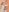 wild_rose69 Teaser Pic