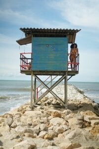 Solecito de Lirioafro  5 photos