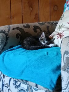 rainbow9028 About me Immagine  4