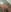 Sweettalexxia19Breast only照片 4