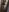 Lia-Bloom New 🥰 Photo 9