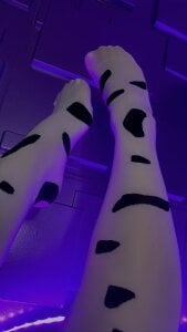 catha_cat mooo Pic 2