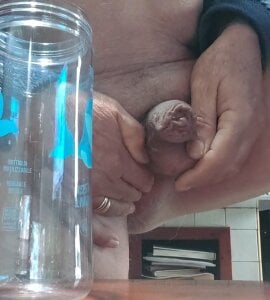 jhonschen's Entrano anche le palle Sex Photo 3