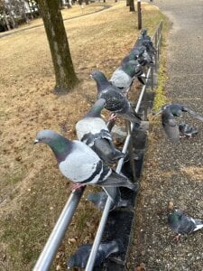 xxoLENAoxxのa parcoの 3枚の写真