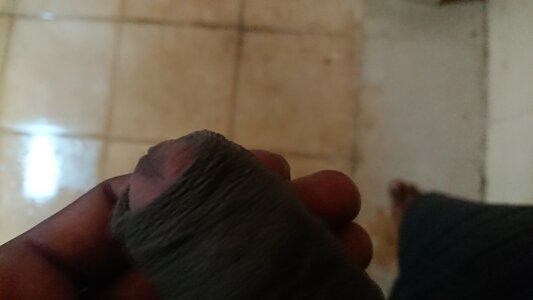 Sure-footedFinder Public Pic 3