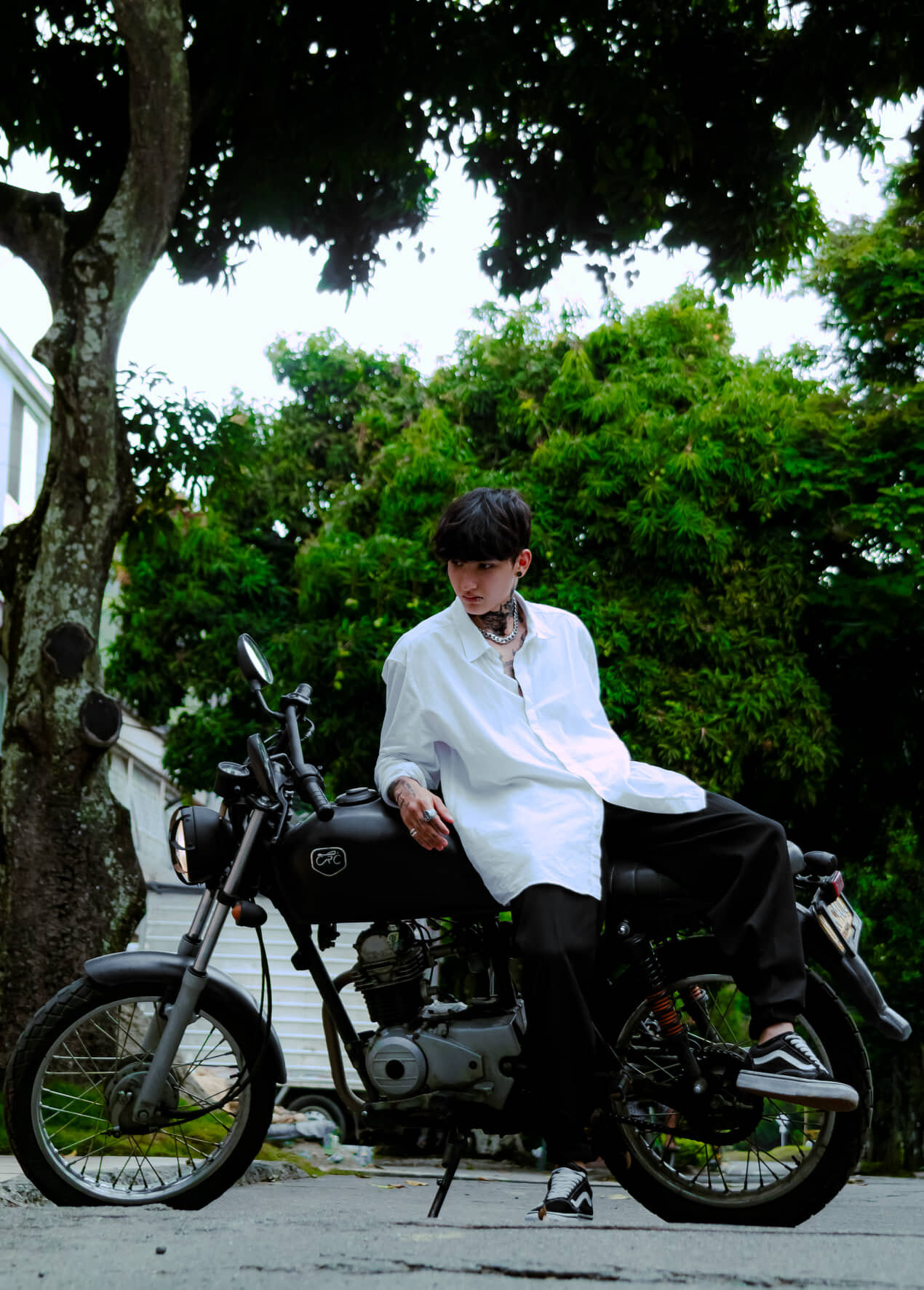 Join Dante-coppola Live Sex Chat - Profiles, Reviews, & Porn