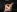 AlexandraJones_ Earth day 2024 - NSFW Pic