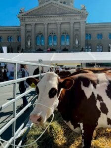 Fayebae_11 Public Pic