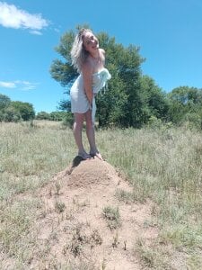 Vintasia: Something Of Everything ( фото)