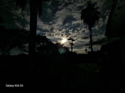 MACKALIX Rr Billede 8