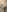 Sitenno__Jay Do you want virt?😏😉💧 Pic 6
