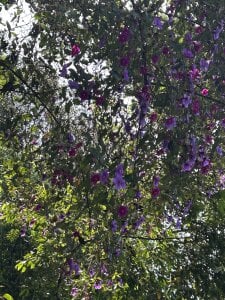 💚 od karlaa_megan  2 snímek