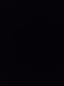 branquelopicudo7773 Bild