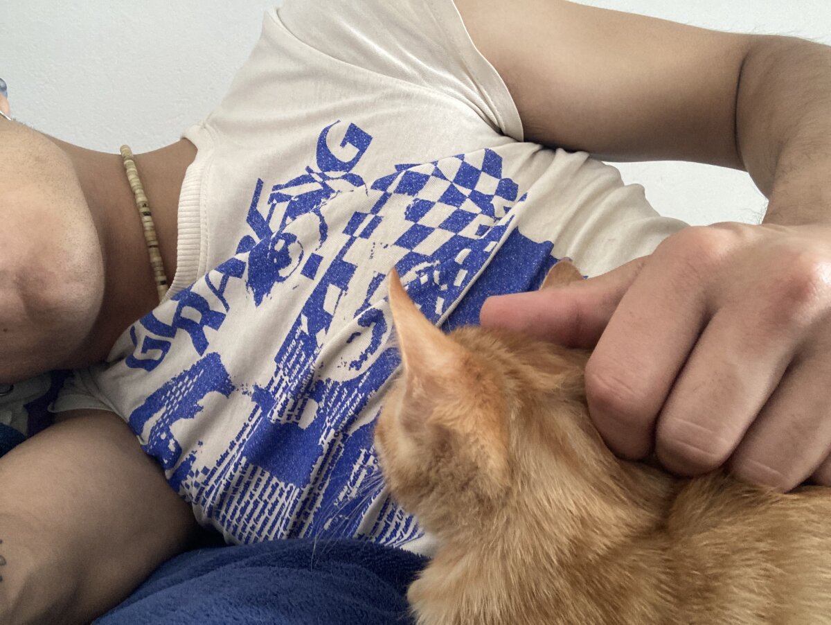 shadowsofgarden Trendy obrázky 4758