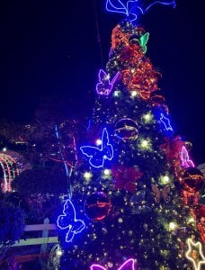 December…💞 de Miaa_scott01  3 Imagens