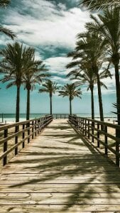 Sun_to_Moon01010 Public Kuva 5