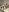 Melljoy naked Pic 5
