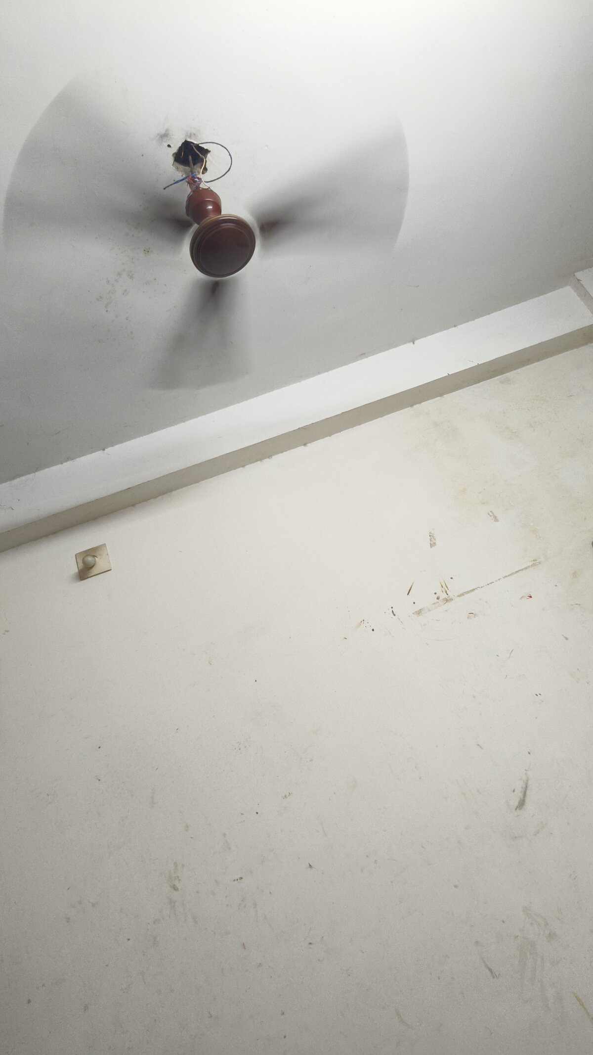 GTX-8194 Trending Pic 3951